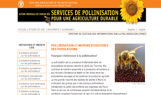 thumbnail - FAO Pollinisation